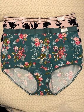 Cacique Teal Floral and Pink Floral-Print High-Waist Briefs (2-Pack) 3X -New-